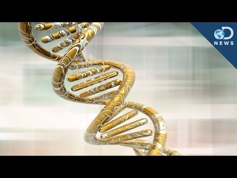 2013年の5つの遺伝子発見 (5 Genetic Discoveries in 2013)