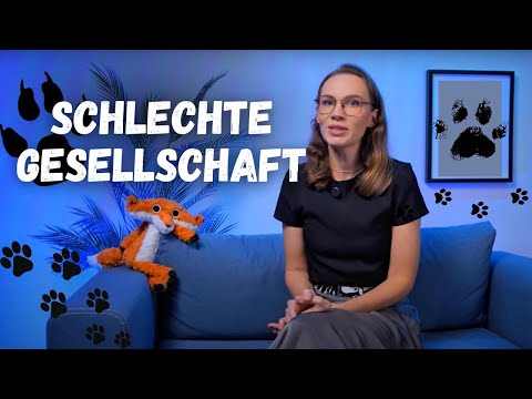 Schlechte Gesellschaft. Ein Kindermärchen, Lisuñas Abenteuer.