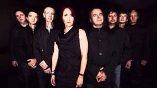 Beautiful South Poppy