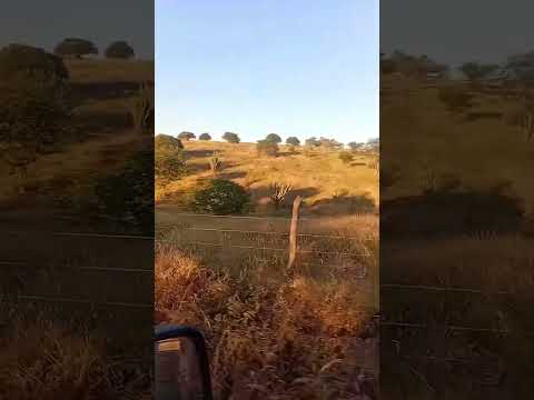 Betânia do Piauí