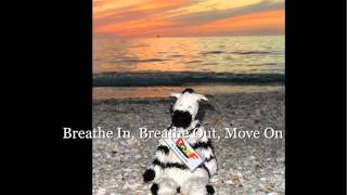 Breathe In, Breathe Out, Move On