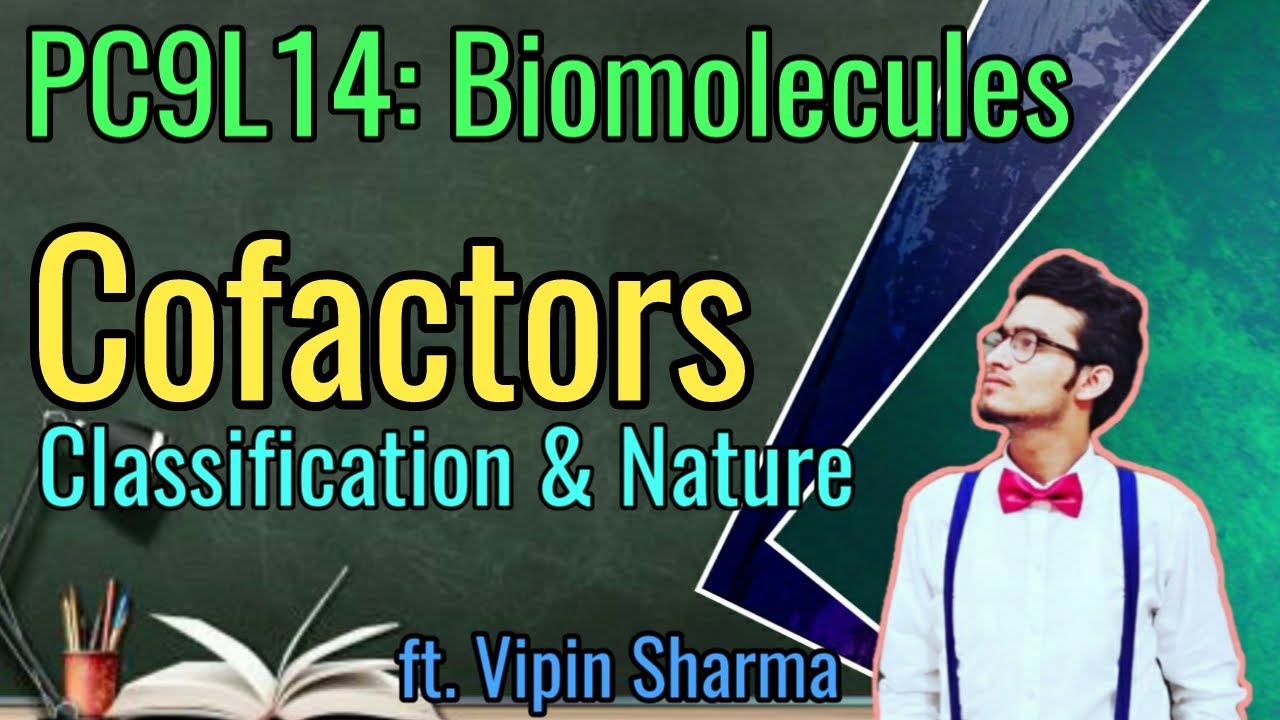 PC9L14: Cofactors: Coenzymes, Prosthetic Groups and Metal Ions | Apoenzymes and Holoenzymes