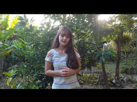 Consejos sobre los cuidados de nuestras mascotas