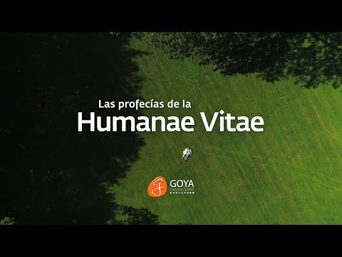 Miniatura del video