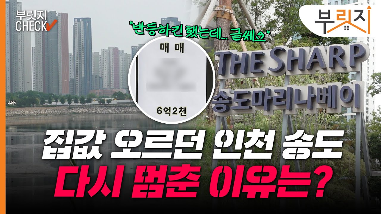 [부릿지CHECK]"상승은 맞지만, 아직은..." 송도 집값 반등이 위험한 이유는?