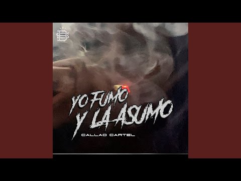 Yo Fumo y Lo Asumo