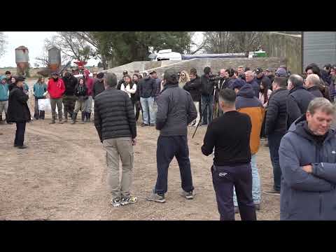 Más de 400 personas en la jornada a campo de UNCOGA y el IPCVA en Humboldt (Santa Fe)