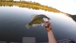 preview picture of video 'Crappie Fishing on Stockton Lake, Mo'