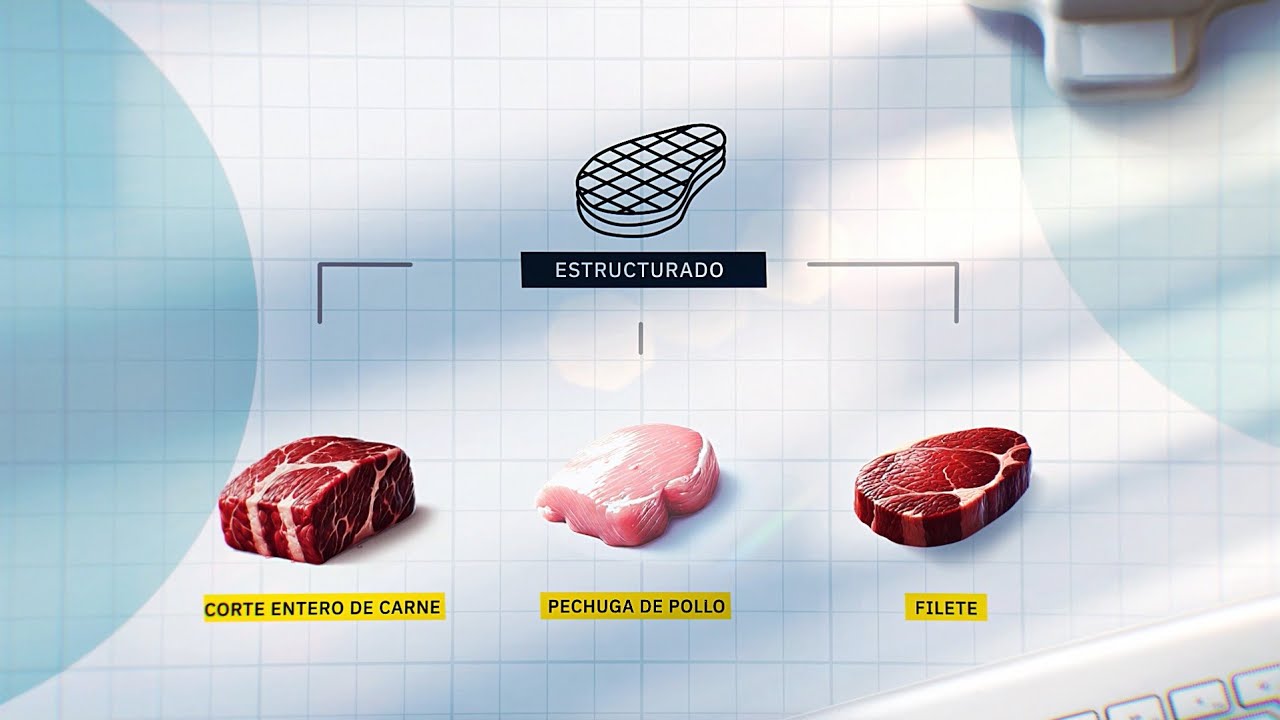 Etapas de la producción de carne cultivada