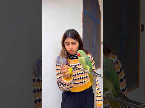 होशियार तोता🦜😂❤️ #parrot #comedy #chor #funny #10millionview