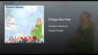 If Dogs Run Free