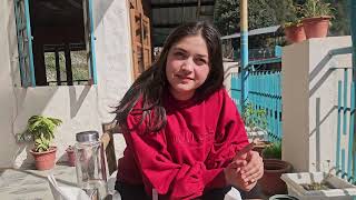 Download lagu Exploring the hidden beauty of Jibhi with my favorite travel buddy — my brother 💕#himachlivlogs mp3