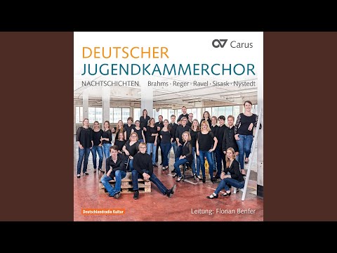 Brahms: 5 Gesänge, Op. 104: I. Nachtwache I