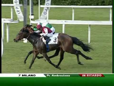 Premio Ambrosiano 2011 (GR 3)