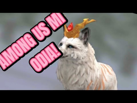 il gioco mi odia 😺👍🏻 (leggete descrizione)