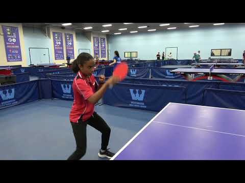 Gewo Sensus Carbo Touch Pro Racket Special with Nexxus Rubbers