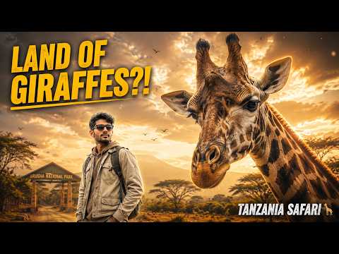 Inside Tanzania’s Land of Giraffes… Arusha National Park 🦒