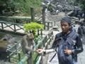 PERCAYA PADAKU UNGU