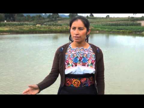 Manuel Elias y Irma Lopez  Ya no llores mas