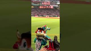 スライリー&バファローブル #プロ野球 #野球 #マツダスタジアム #shorts