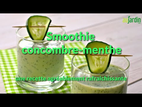 Recette Fraîcheur glacée épinard citron et menthe