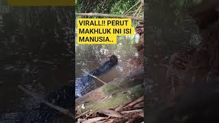 Download lagu DETIK_DETIK PEMANCING MELIHAT DARI DEKAT BNTUK MKHLUK JADIAANN mp3 Download lagu DETIK_DETIK PEMANCING MELIHAT DARI DEKAT BNTUK MKHLUK JADIAANN mp3