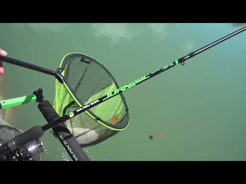 Canne inglesi Jurassic match #maver