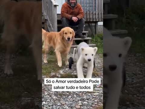 olhar que lindo família linda escute