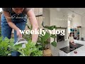 weekly vlog: starting a journaling club, Homesense haul & slower days