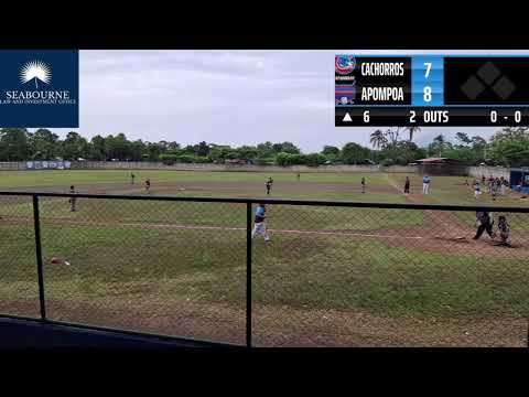 Liga de Beisbol Infantil "AA"