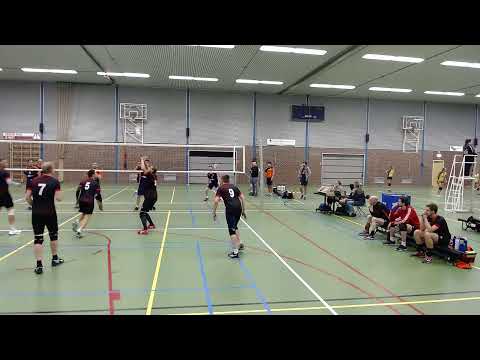 Mytilus H1 - Gavoc H1