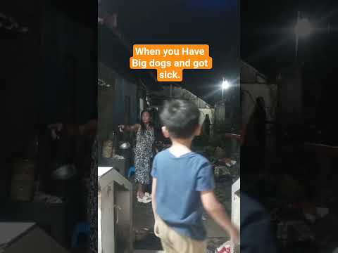 Kuya ICE(ALASKAN MALAMUTE) GOT SICK