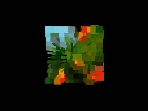 NTO - Les Orangers (Visualizer)