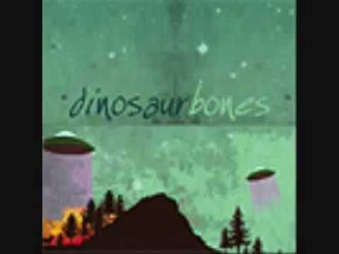 Dinosaur Bones - 