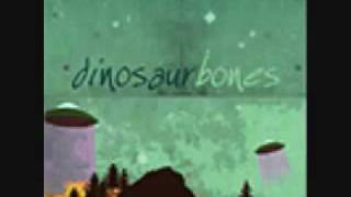 Dinosaur Bones - 