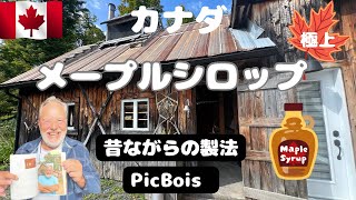 極上のメープルシロップができるまで