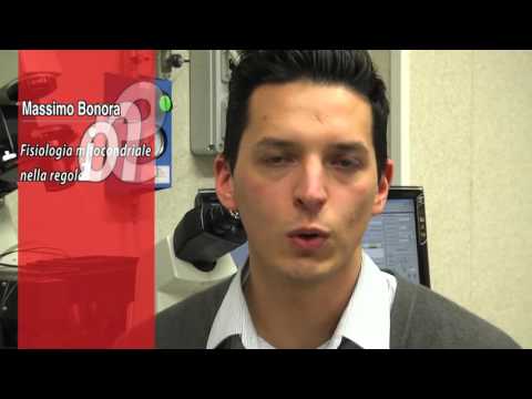 Comunicare la Ricerca - Dott. Massimo Bonora, Università di Ferrara