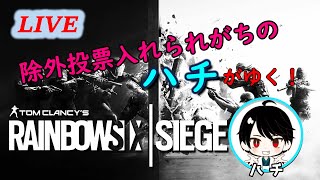 【R6S】除外投票入れられがちなハチがゆく！シージ配信