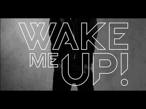 Avicii ft. Aloe Blacc - Wake Me Up (Radio Edit)