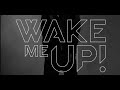 Avicii Ft Aloe Blacc - Wake Me Up