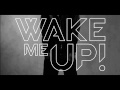 Avicii Ft Aloe Blacc Wake Me Up Radio Edit