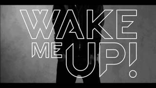 Avicii ft. Aloe Blacc - Wake Me Up (Radio Edit)