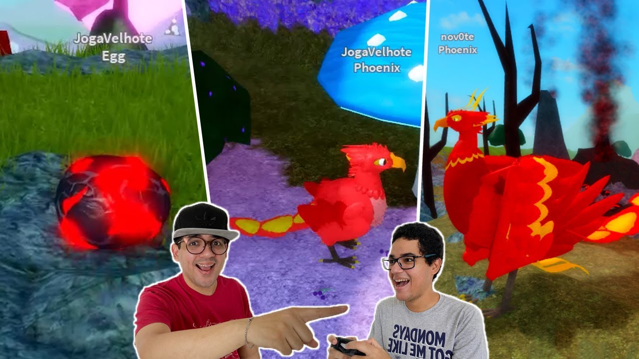 CICLO DE VIDA DE UMA FÊNIX!! (pássaro super raro)