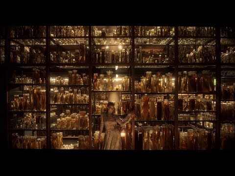 ZUSTRA – Walking On The Moon (Official Video)