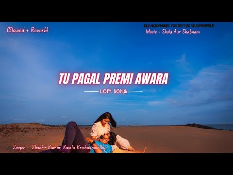 Tu Pagal Premi Awara ( Slowed + Reverb ) LoFi Song | Govinda | Divya Bharti | Shola Aur Shabnam