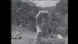 Trailer Thumbnail