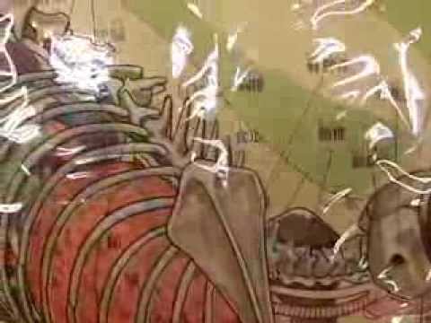 ウサギの解剖学 - ウサギの消化器系