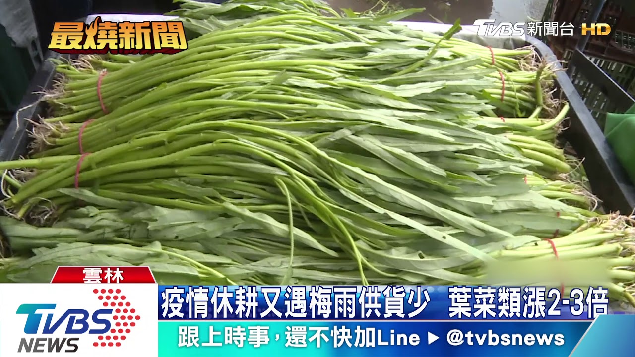 疫情休耕又遇梅雨供貨少 葉菜類漲2到3倍