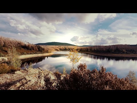 Harz im Herbst 2022. iPhone Pro Max 14.