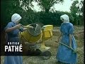 Nuns At Work 1965